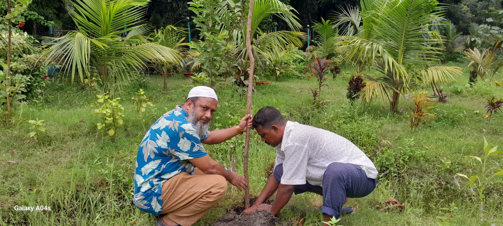 Tree Plantation, 2025 . For 36th July