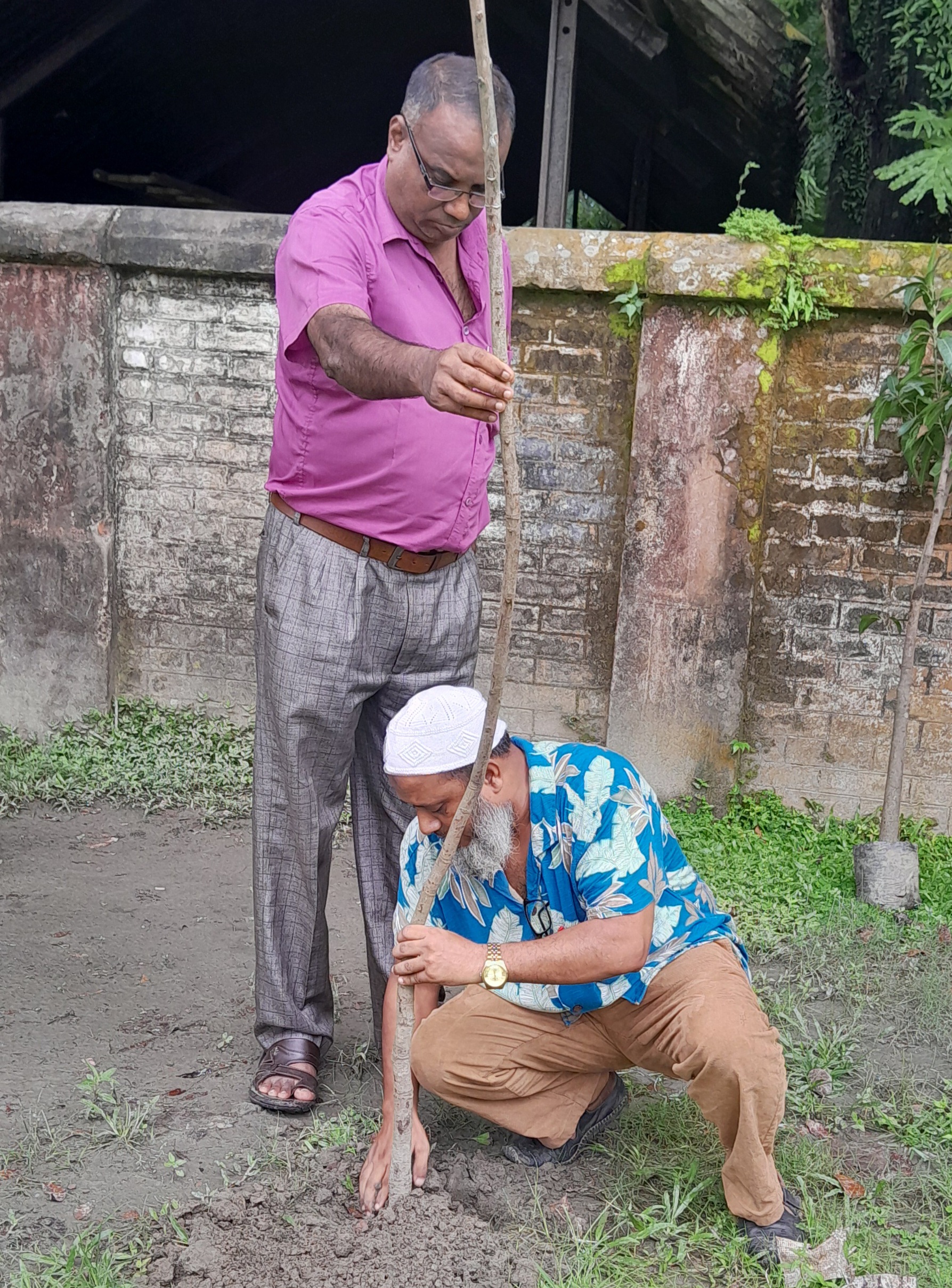 স্কুল প্রাঙ্গণে  বৃক্ষ রোপন।